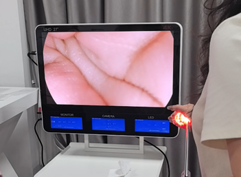 Portable 4K UHD Endoscopy Unit
